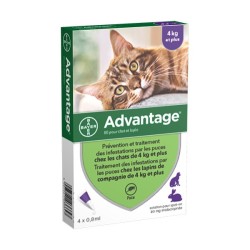 Advantage 80 chat/lapin (4-10 kg)*4